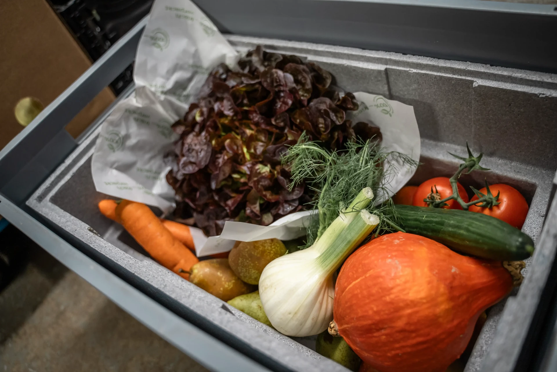Box mit rotem Salat, Fenchel, Hokkaido, Karotten und Tomaten