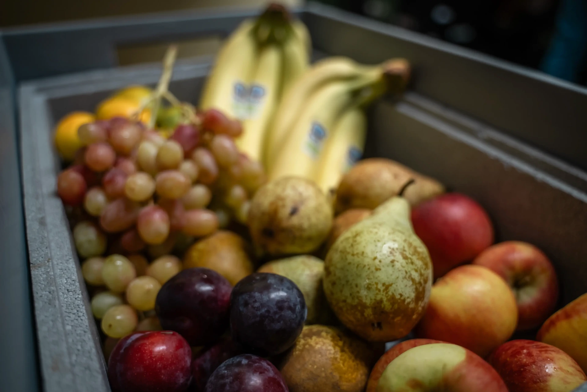 Obst-Box mit Trauben, Bananen, Birnen, Pflaumen und Äpfeln