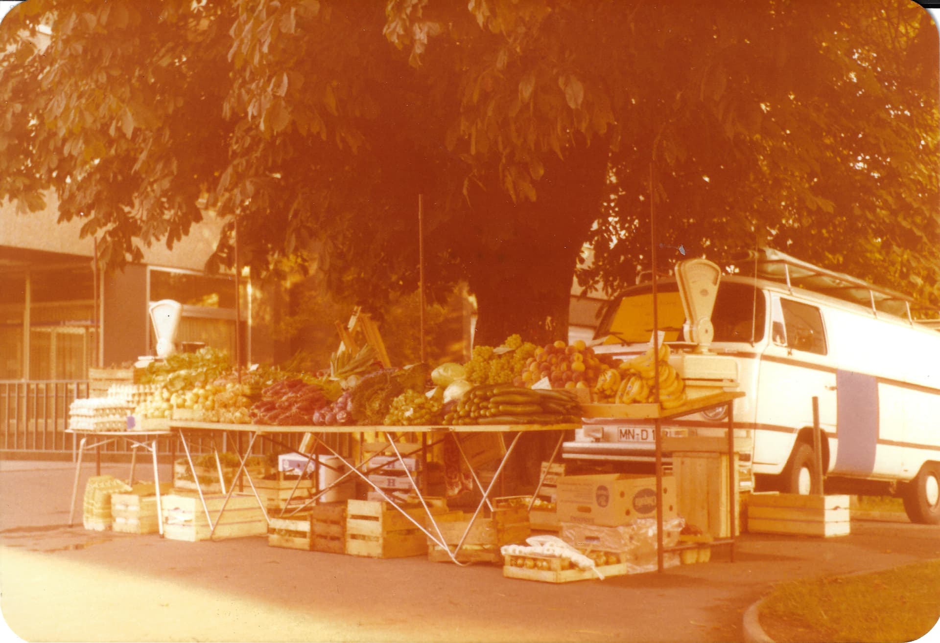 Historischer Gemüse-Marktstand unter einem Baum mit weißem Lieferwagen